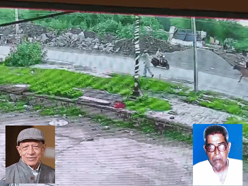 5 दिन में 2 मौतों के बाद पुलिस का एक्शन:3 पशुपालकों के खिलाफ केस दर्ज; रविवार को भी छुड़वाए थे 4 पशु