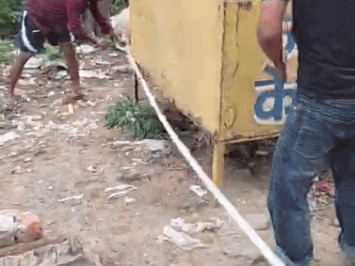 रेवाड़ी कैटल कैप्चर अभियान: प्रशासन की सख्ती से बेखौफ पशुपालक:कर्मचारियों के पकड़ने पर रस्सा काटकर छुड़वाए पशु; बोले- मेरी FIR करवा दियो, VIDEO