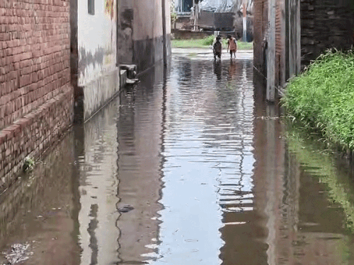 बारिश के बाद मुल्हेड़ा गांव में जलभराव से परेशान लोग:पंप लगाकर पानी निकालने में जुटे ग्रामीण, जलनिकासी व्यवस्था पर उठे सवाल