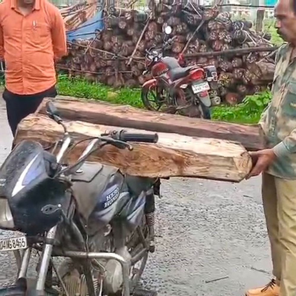 बरमान वनक्षेत्र में सागौन तस्करी का भंडाफोड़:वन विभाग की गश्त देख बाइक-लकड़ी छोड़ भागे दो तस्कर