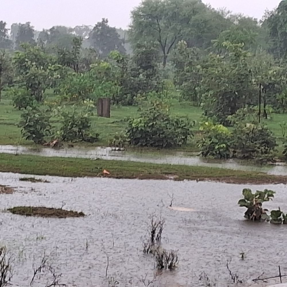 टीकमगढ़ में 24 घंटे में 1.01 इंच बारिश:पलेरा में सर्वाधिक 3.5 इंच, पिछले साल से 26 इंच कम गिरा पानी
