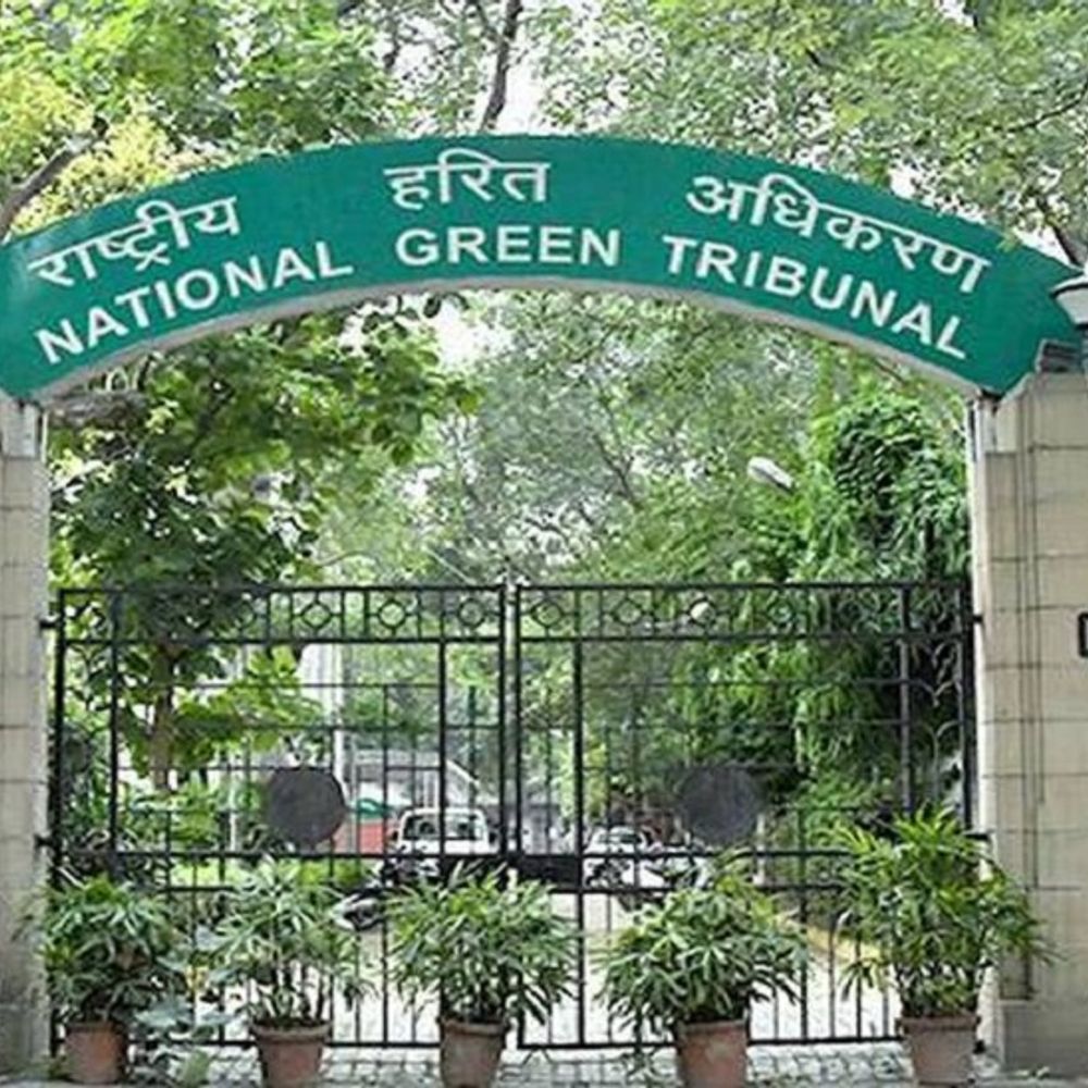 भोपाल की हवा खराब, NGT ने मांगी रिपोर्ट:कहा- साल 2019 से अब तक का वायु गुणवत्ता चार्ट पेश करें; सितंबर में अगली सुनवाई