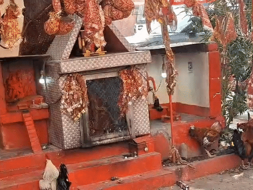 मरीज ठीक होने पर शीतला मां काे चढ़ाते हैं मुर्गा:वाराणसी के मंडलीय अस्पताल में बर्न के मरीजाें के ठीक होने के लिए अजीब मनौती