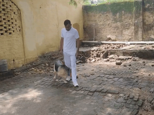ब्लाइंड केस में पुलिस को राह दिखाएगी खोजी डॉग ‘रूही’:झांसी पुलिस को 3 साल बाद मिला खोजी कुत्ता, गंध सूंघकर आरोपी पकड़ने में माहिर