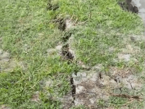 शारदा नदी का कटान तेज, VIDEO:पीलीभीत में गांव की ओर बढ़ रही धारा, घर-खेत पर मंडराया खतरा
