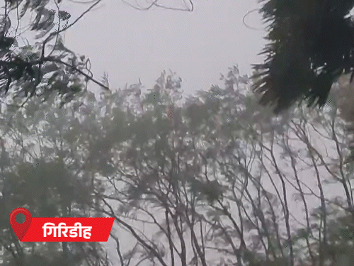 झारखंड में आज भारी बारिश का रेड अलर्ट:चतरा, हजारीबाग और रामगढ़ में झमाझम बारिश; रांची समेत 8 जिलों में यलो अलर्ट