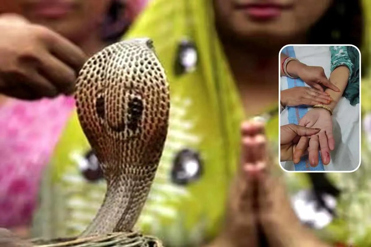 Dewas News : नागपंचमी पूजा के समय महिला को सांप ने डसा, शराब के नशे में सपेरा गिरफ्तार