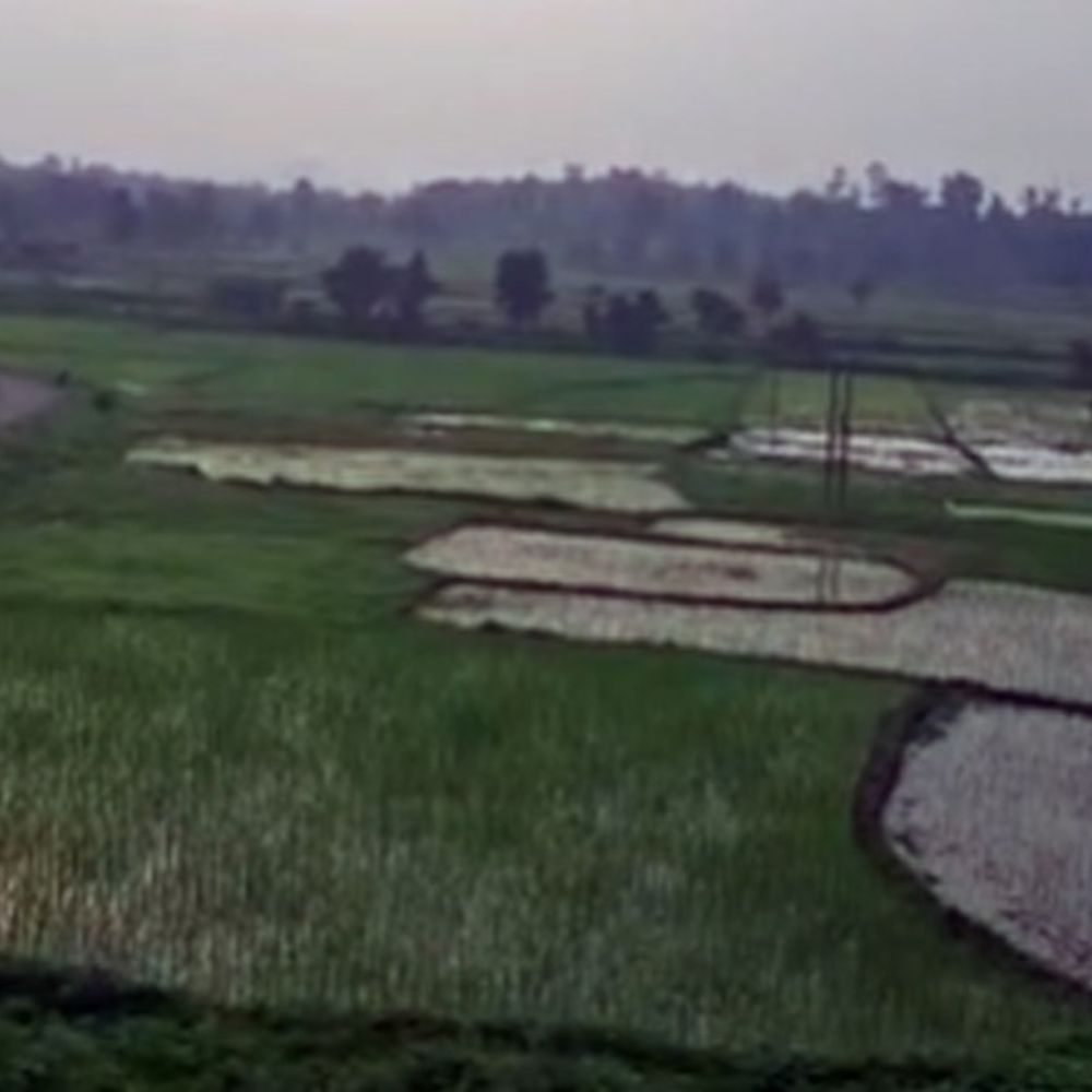 झारखंड में मानसून सक्रिय, 5 दिन तक बारिश के आसार:सर्वाधिक वर्षा पलामू में हुई, आज कई जगहों पर बारिश होने का अनुमान