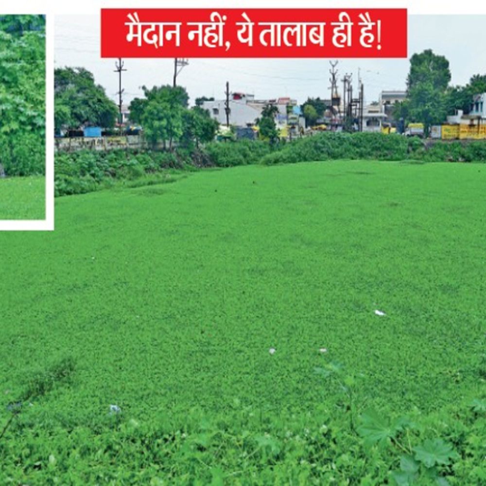 बिचौली मर्दाना तालाब:सीमांकन में अटका सुधार, न डीपीआर बनी न शुरू हुई सफाई; जलकुंभी, अतिक्रमण से बदहाल, ड्रेनेज मिला रहे