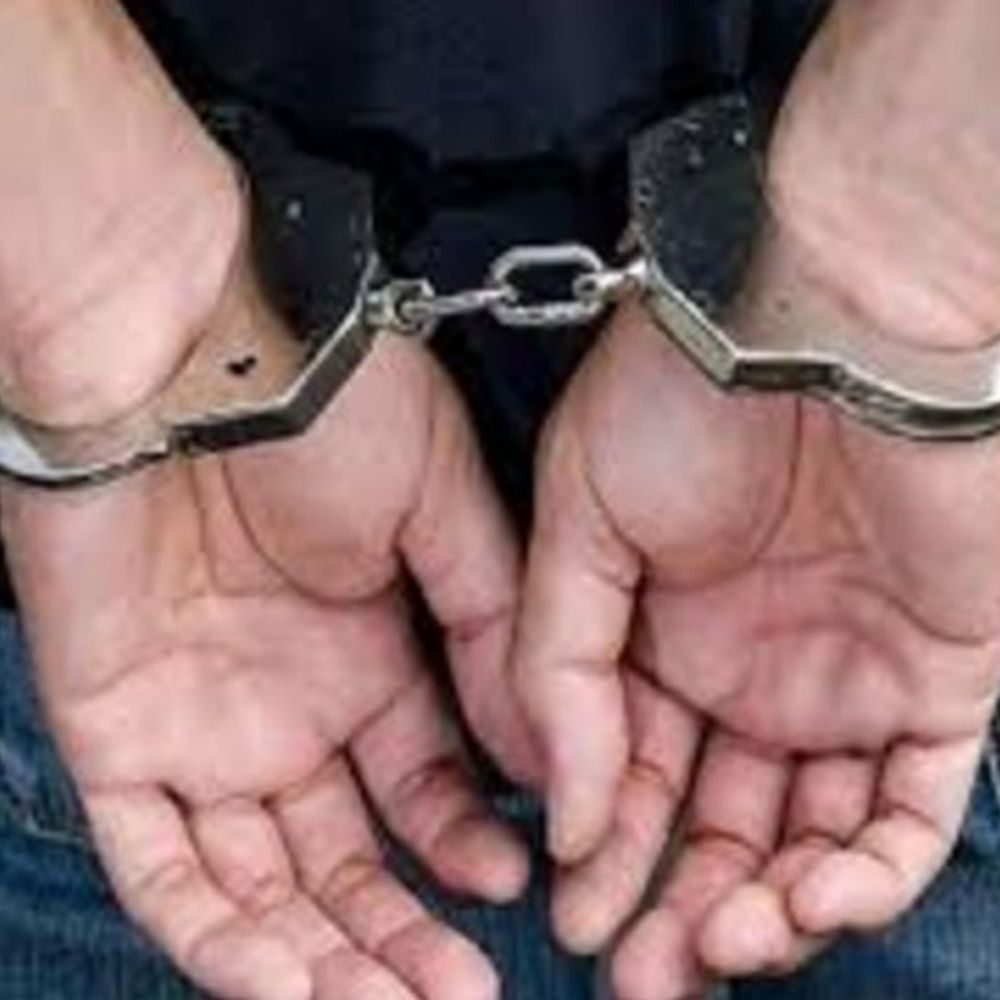 सोलर प्लांट से 10 लाख की केबल चोरी, 2 गिरफ्तार:बिना नंबर की स्विफ्ट में घूम रहे थे आरोपी, पुलिस ने दबोचा