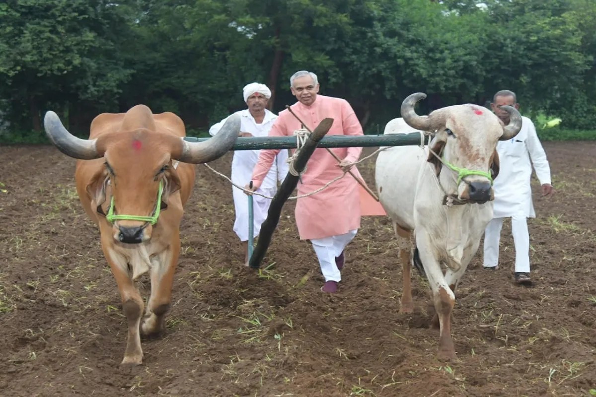 आणंद के बोरियावी गांव में राज्यपाल ने खेत में चलाया हल, कृषि संगोष्ठी में किसानों से की प्राकृतिक खेती अपनाने की अपील