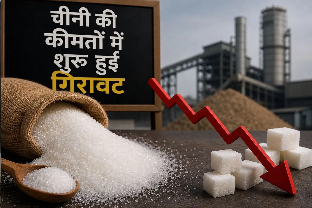 Sugar Price: थोक और रिटेल दोनों बाजारों में टूटने लगे चीनी के भाव, जानिए आपके शहर में क्या हैं रेट