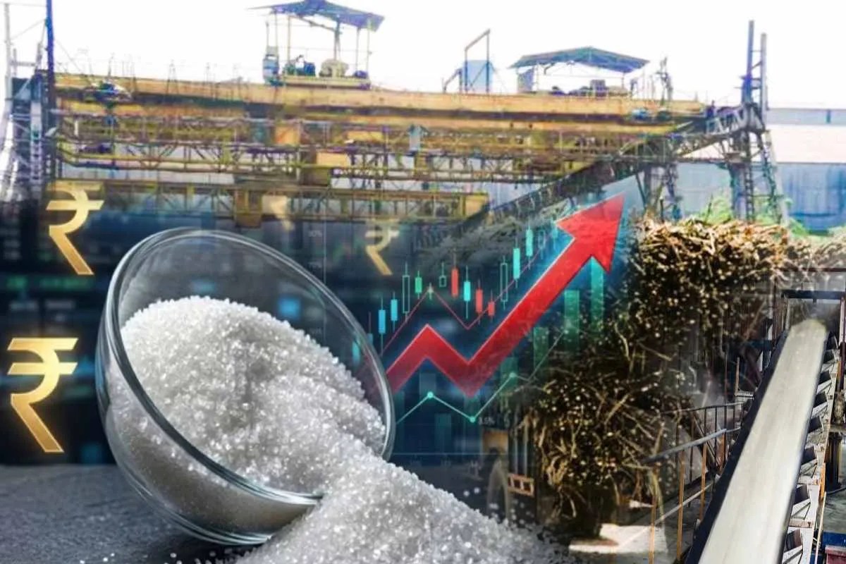 Bajaj Hindusthan Sugar Share 24th August: सरकार ने चीनी के स्टॉक पर लिमिट लगाई तो 12% तक उछल गए शुगर कंपनियों के शेयर, कई स्टॉक्स 52 वीक हाई पर पहुंचे