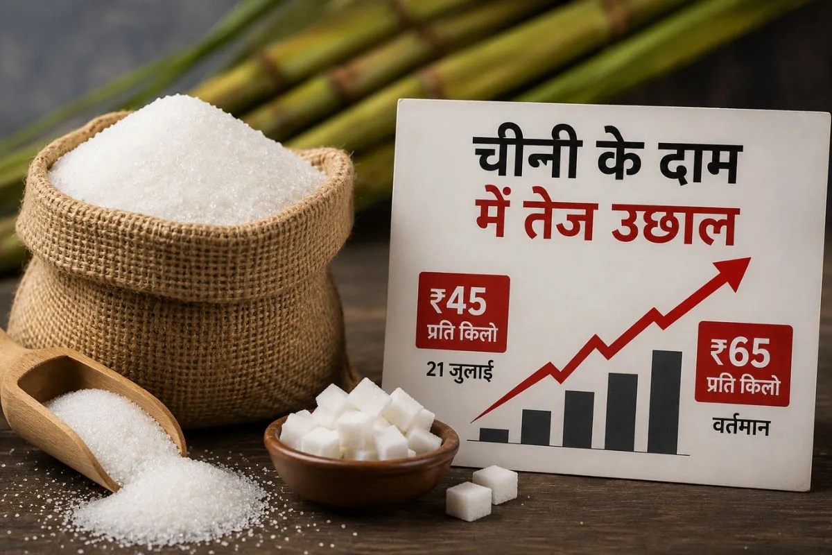 Sugar Price Today: एथेनॉल नहीं तो फिर क्या है चीनी की महंगाई की सबसे बड़ी वजह, देखिए ये आंकड़े