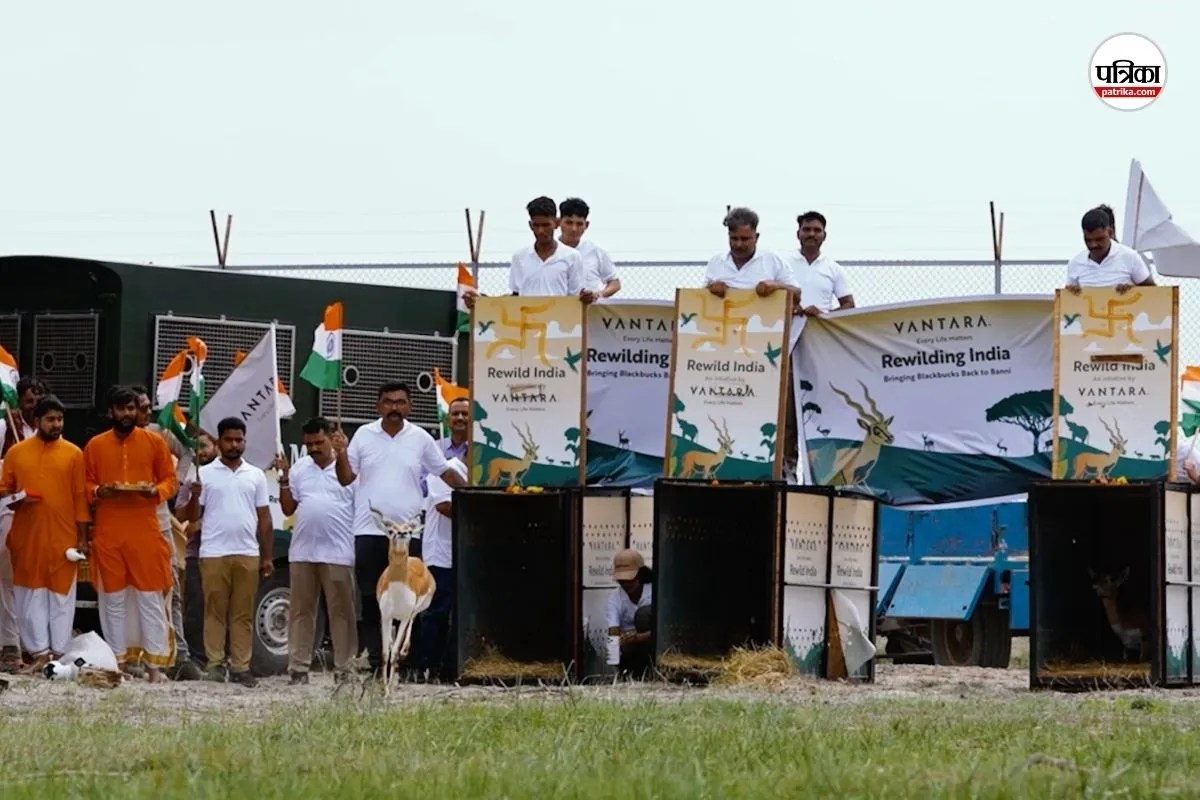 स्वतंत्रता दिवस के अवसर पर ‘वंतारा’ की बड़ी पहल, बन्नी में छोड़े गए 20 काले हिरण