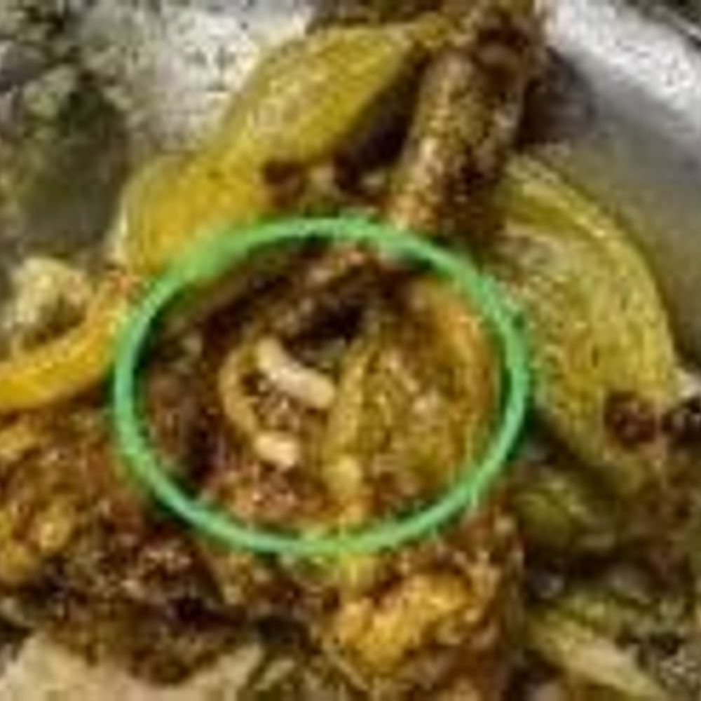 DDU गर्ल्स-हॉस्टल के खाने में कीड़ा मिलने का आरोप:छात्राओं का फूटा गुस्सा, राज्यपाल की वॉर्निंग के बाद भी नहीं सुधरी व्यवस्था