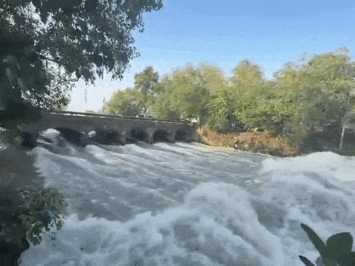 पठानकोट में फिर गहराया तबाही का खौफ:रावी, उज्ज और जलालिया दरिया उफान पर, अगस्त 2025 की भयानक त्रासदी की यादें हुईं ताजा
