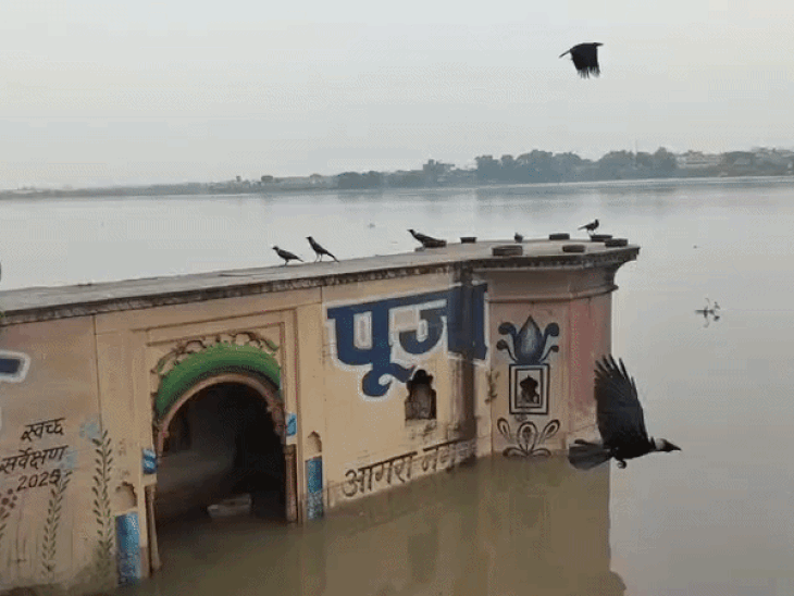 आगरा में यमुना खतरे के निशान पर:बढ़ते जलस्तर ने बढ़ाई चिंता, दो हजार परिवारों पर खतरा, प्रशासन अलर्ट