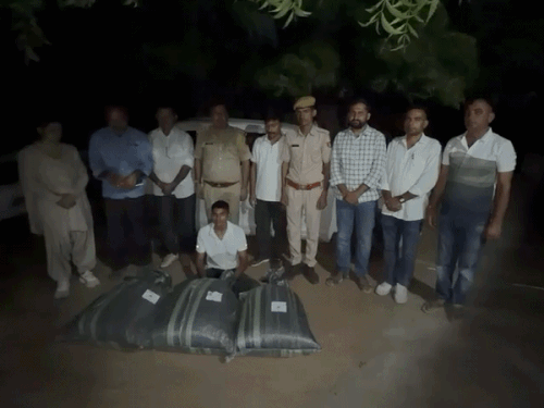 जालोर में 48 किलो डोडा चूरा के साथ तस्कर गिरफ्तार:स्विफ्ट कार जब्त, ANTF ने पीछा कर पकड़ा