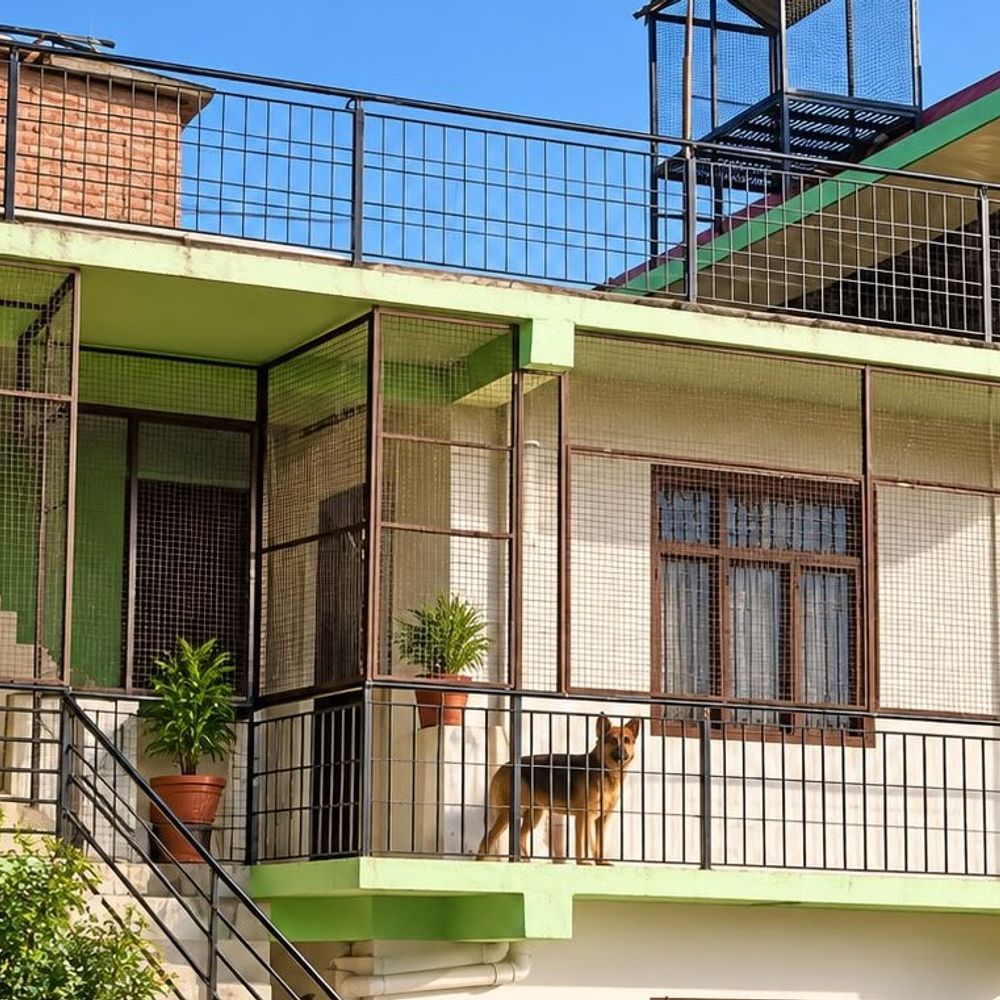 शिमला पुलिस ने 4.13 करोड़ की प्रॉपर्टी जब्त की:अब तक 12.52 करोड़ की संपत्ति जब्त; NDPS के 15 केसों की चल रही जांच