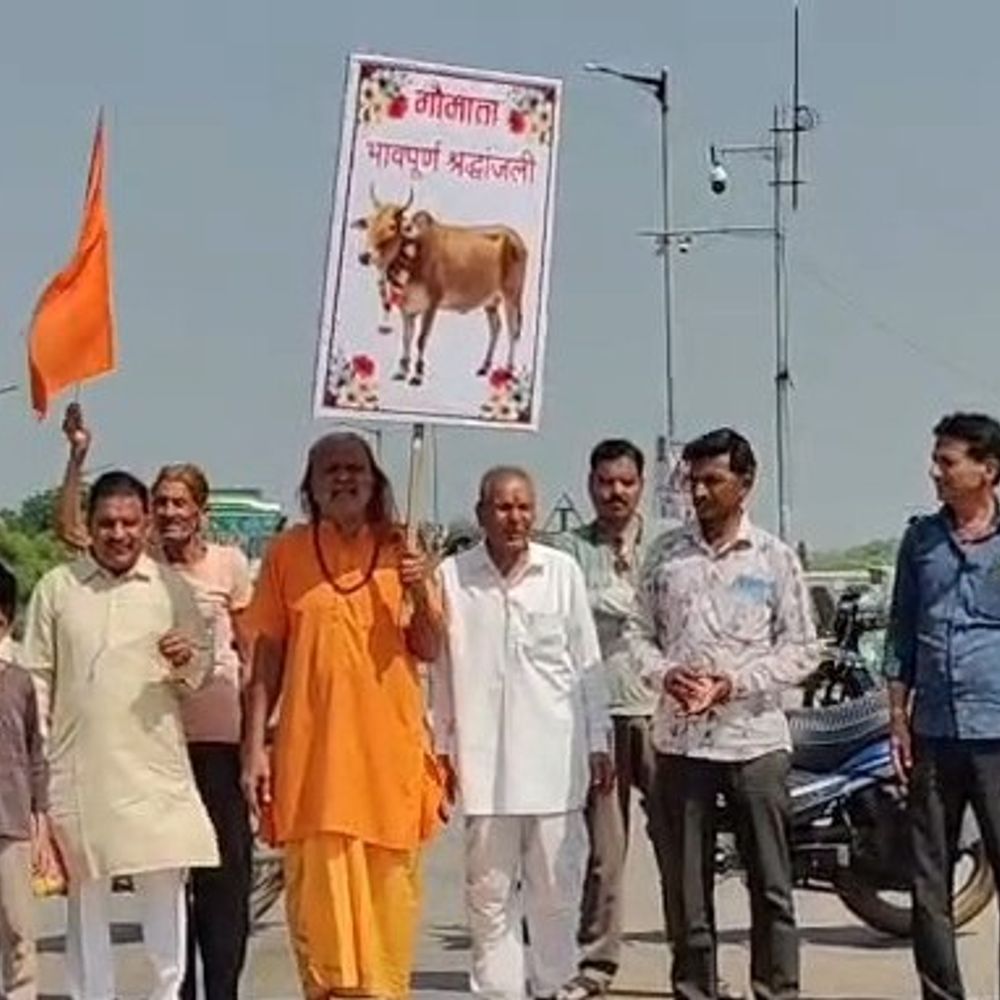 मंदसौर में ओवरब्रिज से गिरकर ऊंट और गाय की मौत:सुरक्षा को लेकर किया चक्काजाम; ब्रिज पर ऊंची जाली लगाने की मांग