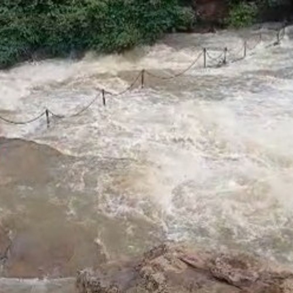 बारिश से कैमूर के सभी प्रमुख जलप्रपातों में बढ़ा पानी:बहाव-फिसलन का खतरा; वन विभाग ने पर्यटकों को चट्टानों से दूर रहने की दी सलाह