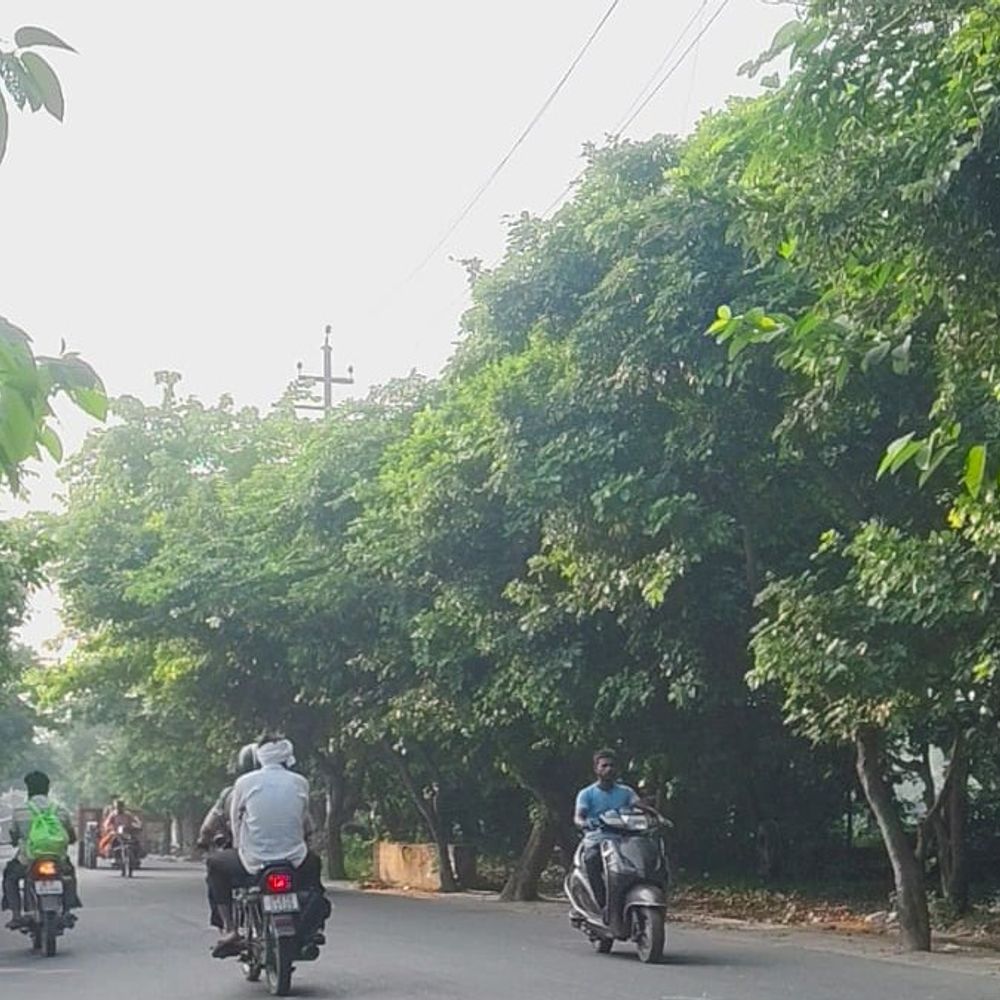 मुरादाबाद में टेम्प्रेचर 33°C:तेज धूप निकली, रुक-रुककर हवा बह रही, आज बारिश नहीं होगी