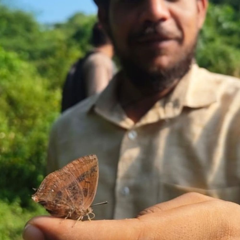 नालंदा में तितलियों की 90 प्रजातियां दर्ज:मगध नेचर कंजर्वेशन ट्रस्ट की पहल, राजगीर में जुटी तितली प्रेमियों की टोली