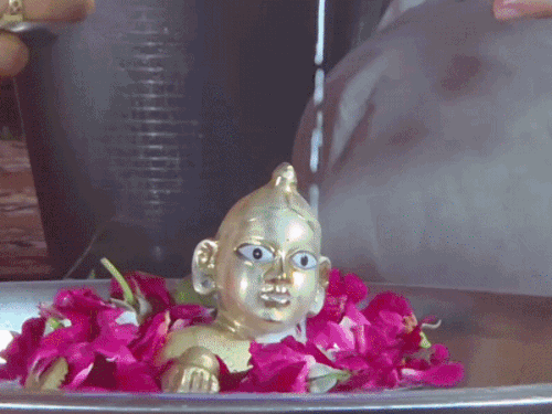काशी में धूमधाम से मनी श्रीकृष्ण जन्माष्टमी:जय कन्हैया लाल की, हाथी घोड़ा पालकी से गूंजा पूरा शहर,देखें तस्वीरें