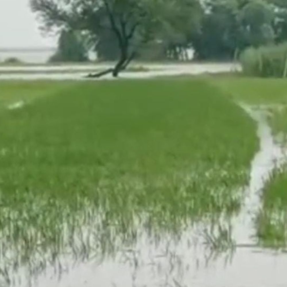 सरयू नदी खतरे के निशान से ऊपर, बाढ़ का खतरा:मंगलवार सुबह 11 सेंटीमीटर ऊपर बही; प्रशासन ने बाढ़ शरणालय सक्रिय किया
