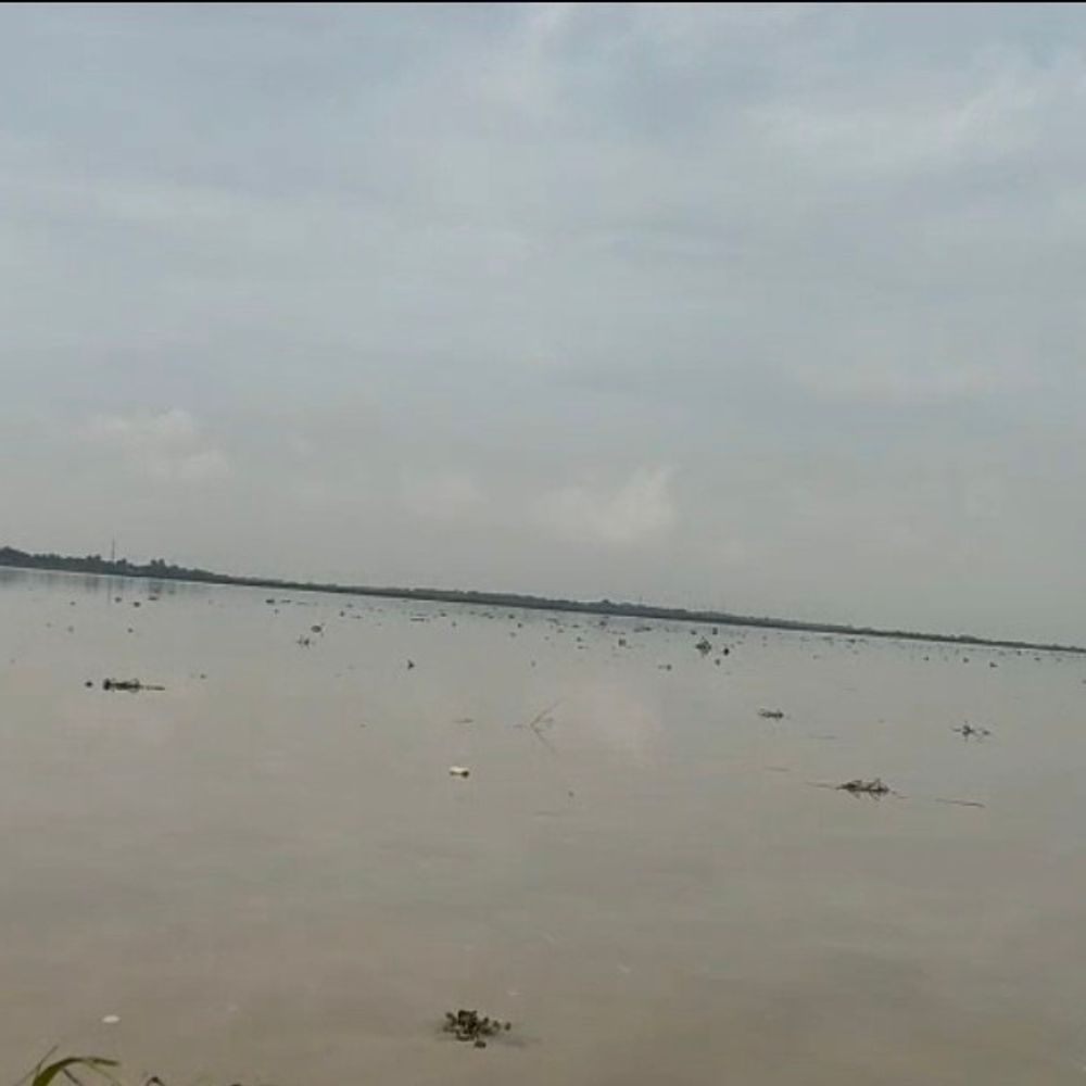 कोसी-बागमती का बढ़ा जलस्तर, चौथम में 2 फीट पानी:खगड़िया-कोसी बैराज से 3.16 लाख क्यूसेक पानी छोड़ा, प्रशासन अलर्ट