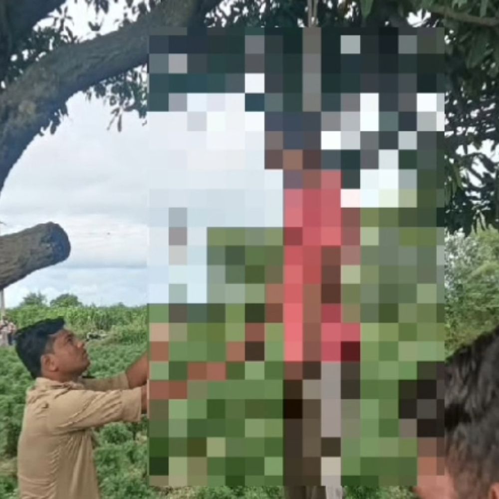 मेरठ में युवक ने पेड़ से लटककर की खुदकुशी:खेतों पर गए ग्रामीणों ने देखा, पत्नी से विवाद के बाद ससुराल से लौटा था