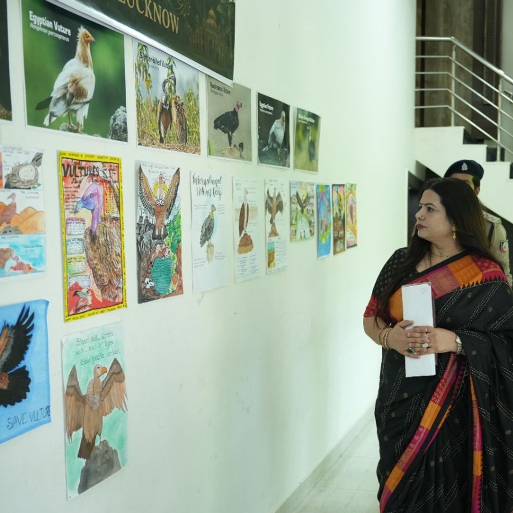30 साल में 50% कम हो गए गिद्ध:लखनऊ प्राणि उद्यान में अंतरराष्ट्रीय गिद्ध जागरूकता दिवस मनाया
