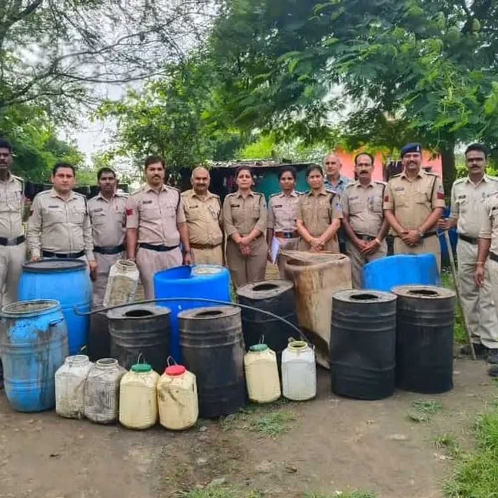 देवास में अवैध शराब की 6 भट्टियां ध्वस्त:800 लीटर महुआ लहान नष्ट; तालाब किनारे नाले में छिपाकर रखा था सामान