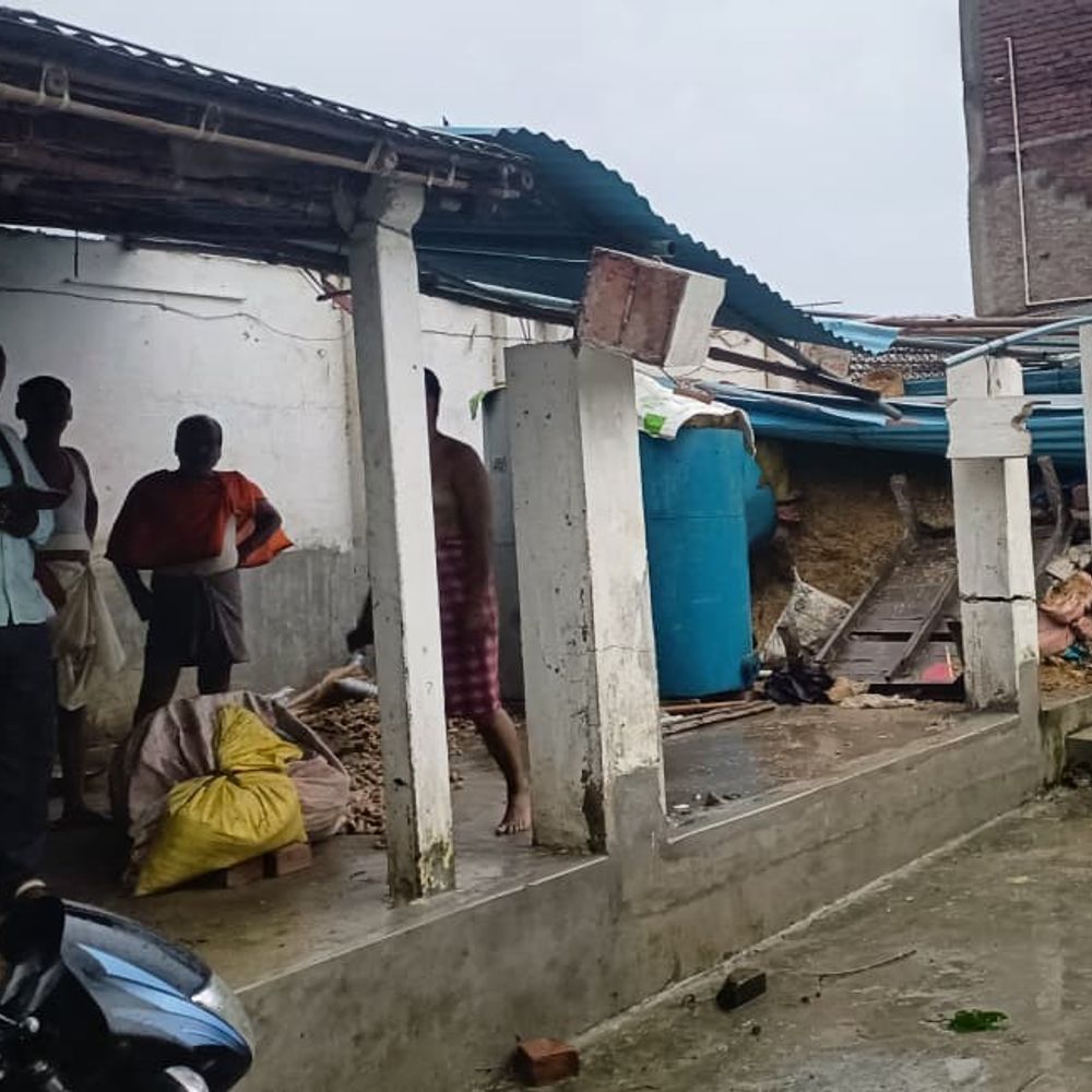 खगड़िया में कई घरों के छप्पर उड़े, ट्रांसफार्मर गिरा:बिजली सप्लाई ठप, चक्रवाती तूफान-तेज आंधी से पेड़ और पशु शेड क्षतिग्रस्त