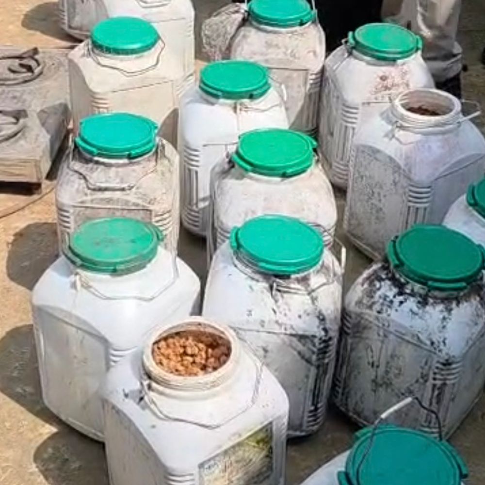 जबलपुर में अवैध शराब के अड्डों पर पुलिस की कार्रवाई:2 महिलाओं समेत 4 आरोपी गिरफ्तार, 231 लीटर कच्ची शराब जब्त