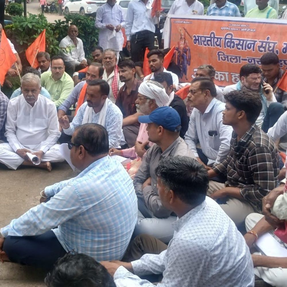नरसिंहपुर में सोयाबीन की खराब फसल लेकर कलेक्ट्रेट पहुंचे किसान:बोले- बीमा कार्यालय जिले में खुले, सम्मान निधि की राशि 10 हजार की जाए