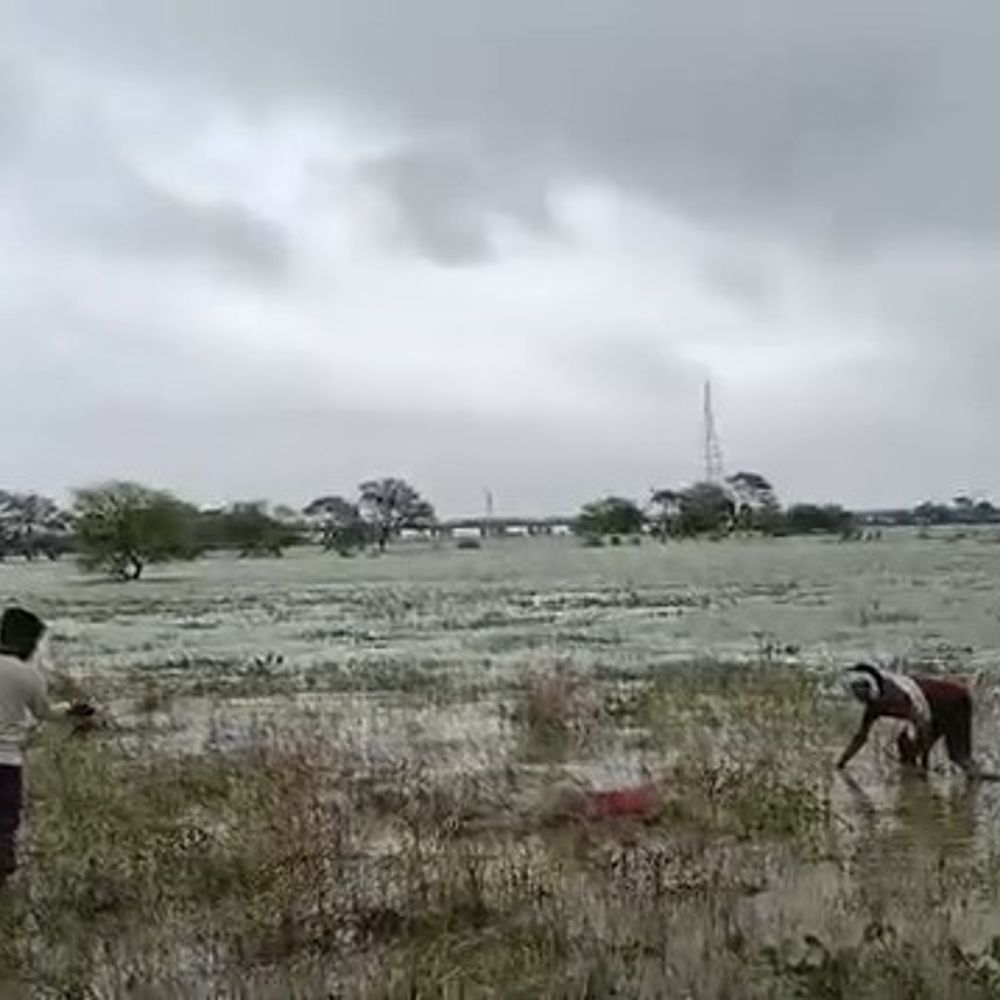 सिंगरौली में नदी किनारे मिला युवती का शव:एक सप्ताह पुराना होने की आशंका, हाथ में कड़ा भी मिला