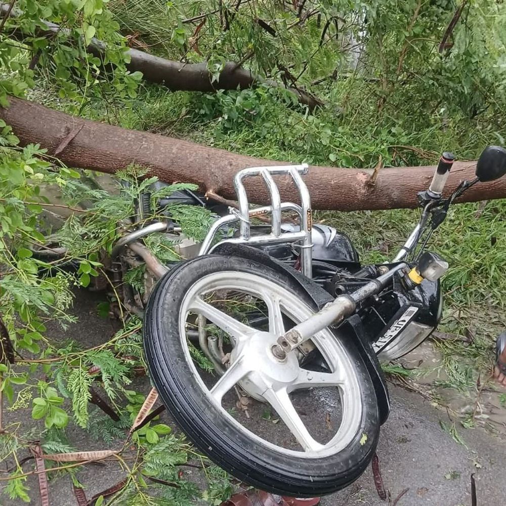 बारिश-तेज हवा में बाइक पर गिरा पेड़, सफाईकर्मी की मौत:गैस सिलेंडर लेकर लौट रहे थे, पत्नी और 5 बच्चों पर टूटा दुख