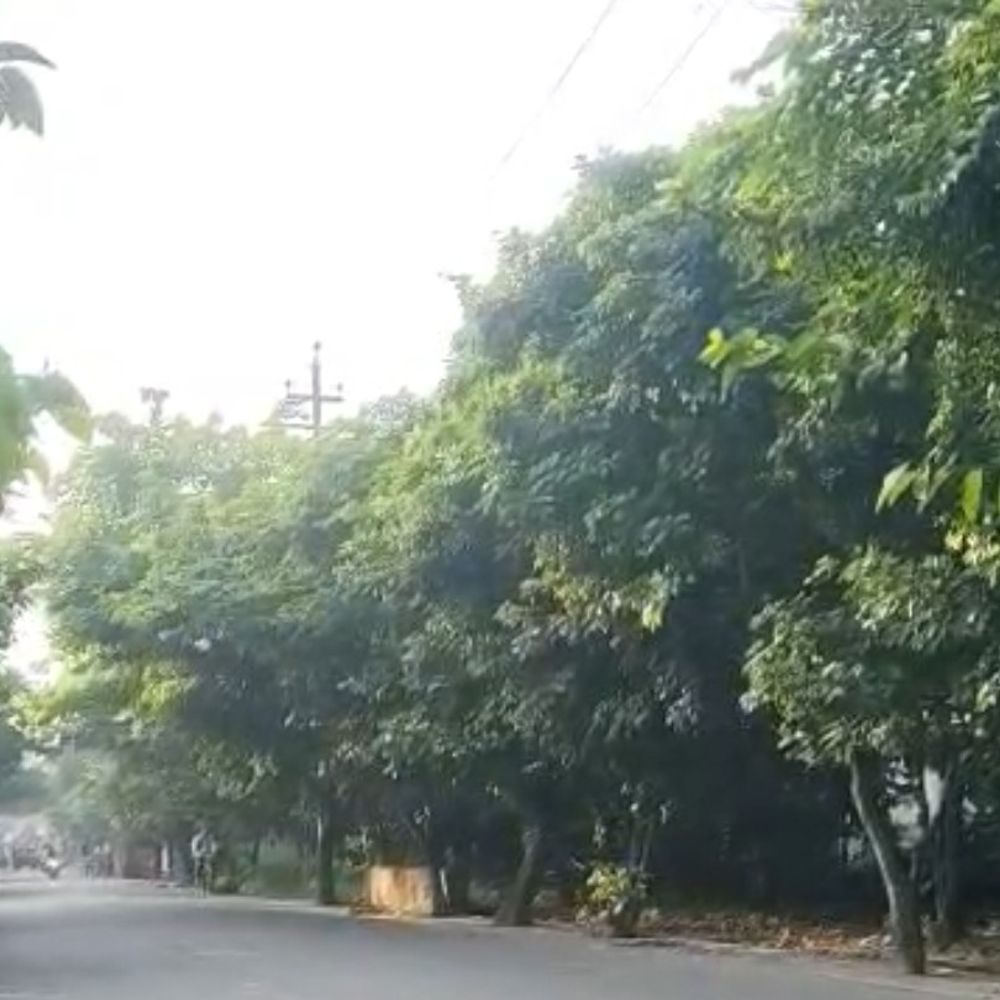 मुरादाबाद में खिली धूप, तापमान 30 डिग्री तक पहुंचेगा:दिन बढ़ने के साथ बढ़ेगी गर्मी और उमस, बारिश के आसार नहीं