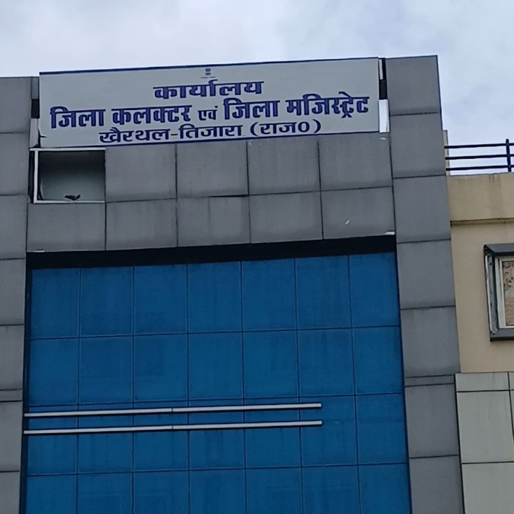 9 परिवारों के फर्जी अंत्योदय राशन कार्ड मिले:गेहूं वितरण रोका, परिवारों को नोटिस जारी कर सफाई मांगी