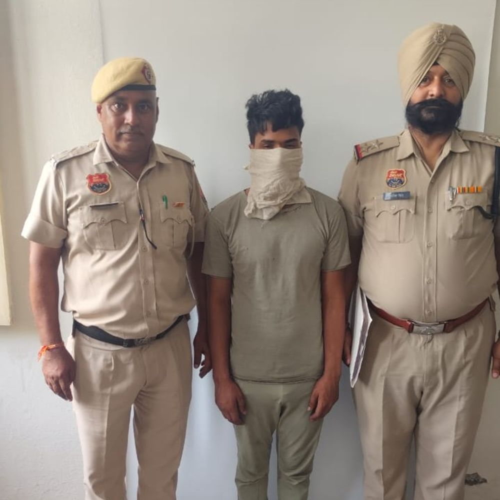 हांसी पुलिस ने भैंस चोर गिरोह का चौथा आरोपी पकड़ा:2 दिन के रिमांड पर; पशु चोरी में पशुपालक को पीटा था