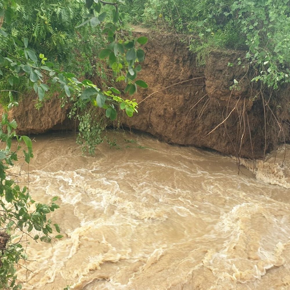 नालंदा में मानसून की पहली मार:जिरायन के तटबंध में 25 फीट कटाव; 2,500 बीघे की फसल डूबी, कई गांवों पर बाढ़ का खतरा