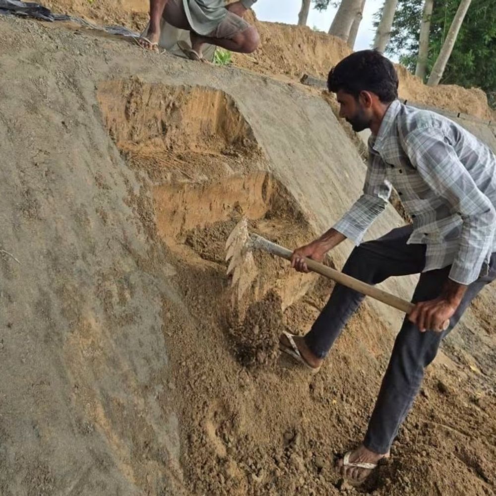 वन्य जीव प्रेमी ने नहर में बनाई सीढ़ियां:डबवाली नहरी विभाग ने नहीं सुनी समस्या, विक्रम बिश्नोई बोले- पशुओं को निकलने में होगी आसानी