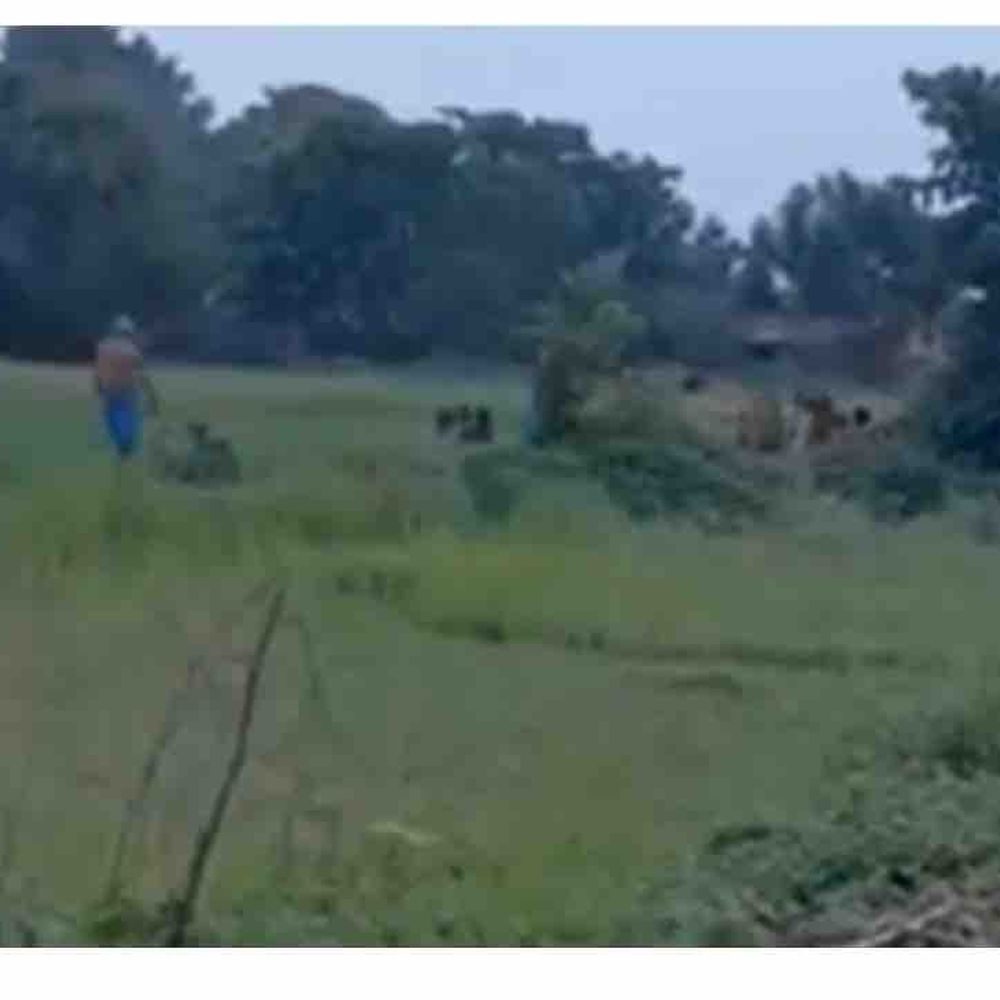 मोतिहारी के सिकरहना नदी में डूबी महिला का शव मिला:काम से नदी किनारे गई थी, पैर फिसलने से गहरे पानी में गई
