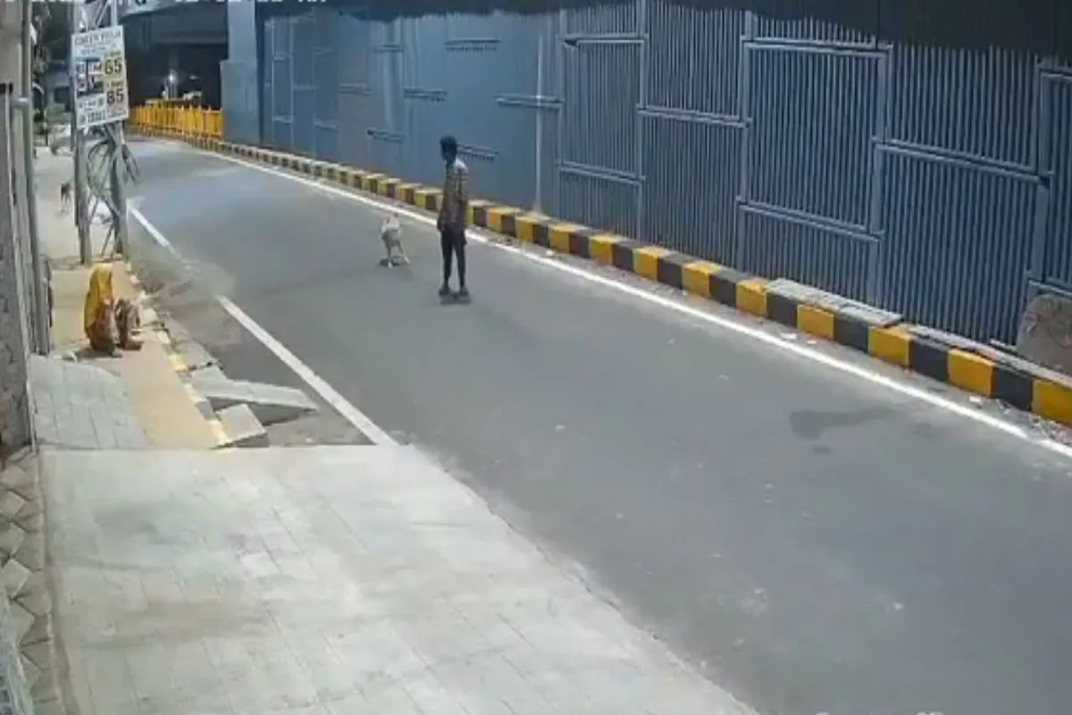 Tamil Nadu News: मानसिक रूप से बीमार महिला से छेड़छाड़ की कोशिश, श्वानों ने आरोपी पर किया हमला, CCTV से खुलासा