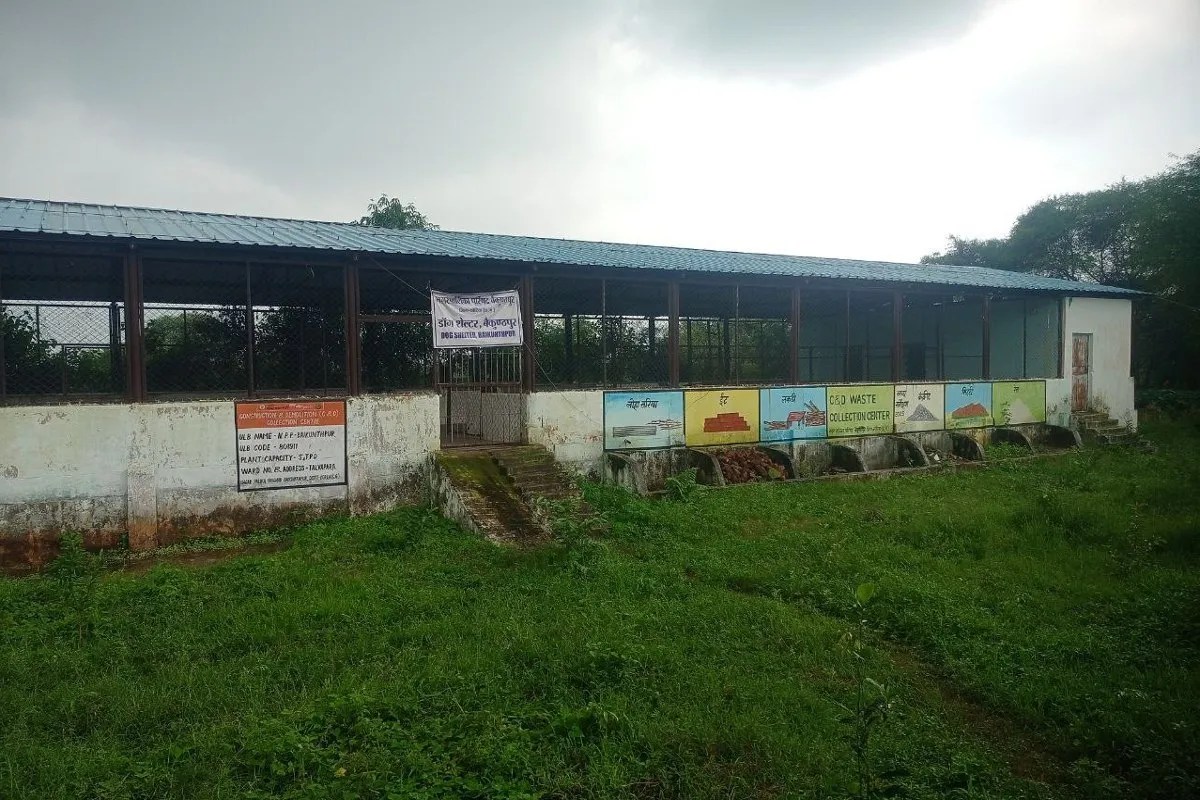 Koria News: डॉग शेल्टर में 9 माह से लटका है ताला, 1 भी नहीं रख पाए, नगरपालिका क्षेत्र में 500 से अधिक हुई कुत्तों की संख्या