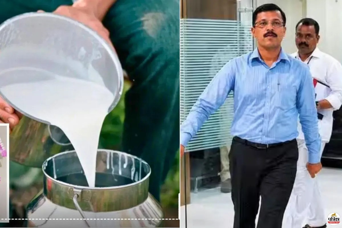 तुकाराम मुंढे की FDA का बड़ा एक्शन, 2 दिन में दूध, मक्खन, पनीर सहित 95 टन खाद्य सामग्री जब्त