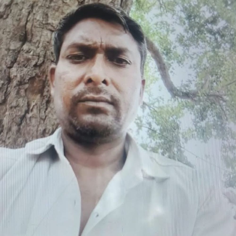 मथुरा में भैंसों से भरी पिकअप पलटी, ड्राइवर की मौत:साथी घायल, एक भैंस भी दब गई; पांच बच्चों का पिता था मृतक