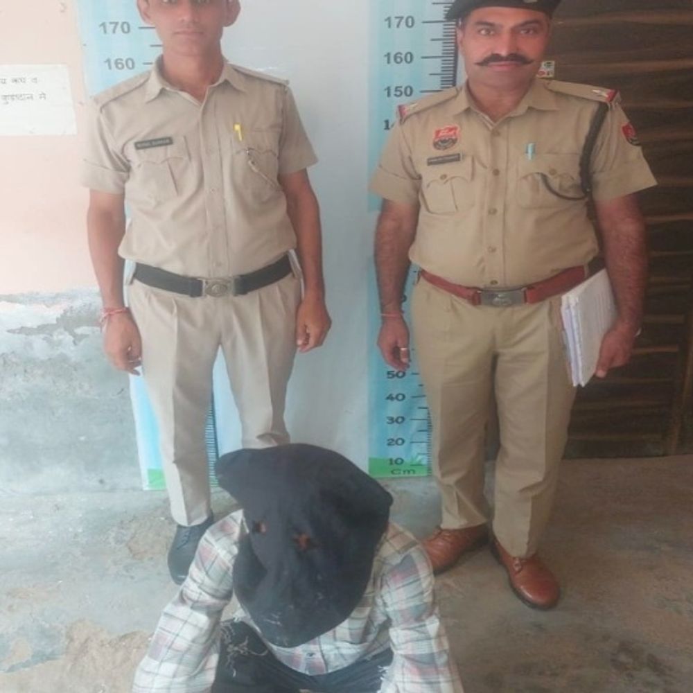 हिसार में गौशाला मंदिर में चोरी का खुलासा:एक आरोपी गिरफ्तार, दानपात्र के 4 हजार रुपए लौटाने का दावा